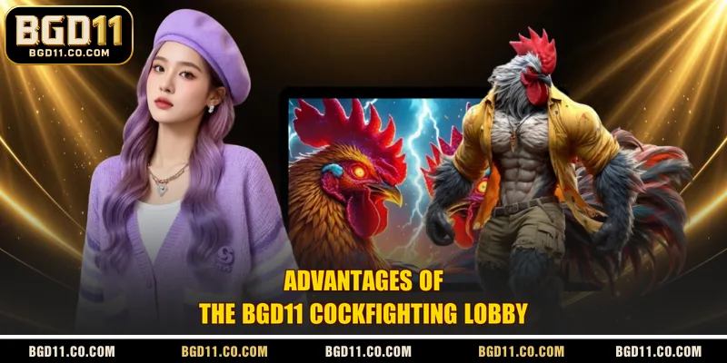 Advantages of the BGD11 cockfighting lobby