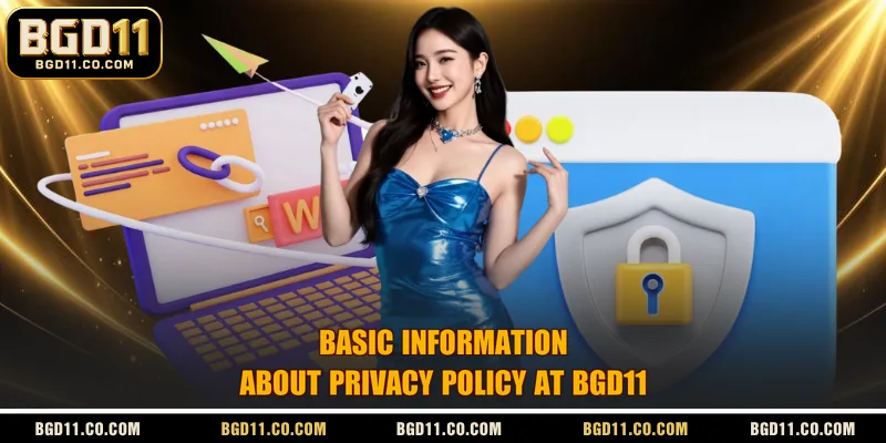 Basic information about privacy policy at BGD11