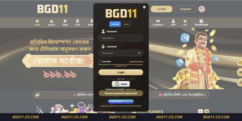 BGD11 Account Login Interface