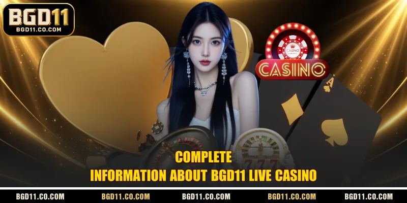 Complete information about BGD11 Live Casino