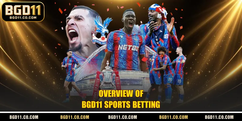 Overview of BGD11 sports betting