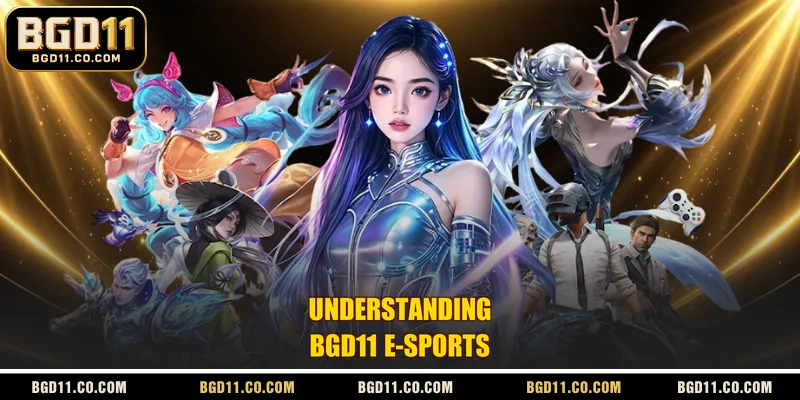 Understanding BGD11 E-sports